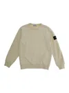 Stone Island White Crewneck Sweatshirt With Logo Patch On The Sleeve In Cotton Boy In Neutral