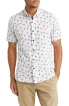 STONE ROSE STONE ROSE DRY TOUCH® PERFORMANCE MARGARITA PRINT SHORT SLEEVE BUTTON-UP SHIRT
