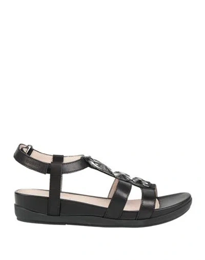Stonefly Woman Sandals Black Size 7 Calfskin