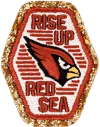 Stoney Clover Lane Arizona Cardinals Patch