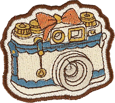 Stoney Clover Lane Camera Patch In Multi