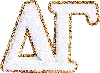 Stoney Clover Lane Delta Gamma Sticker Patch