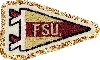 Stoney Clover Lane Florida State University Patch