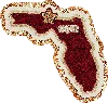Stoney Clover Lane Florida State University Patch