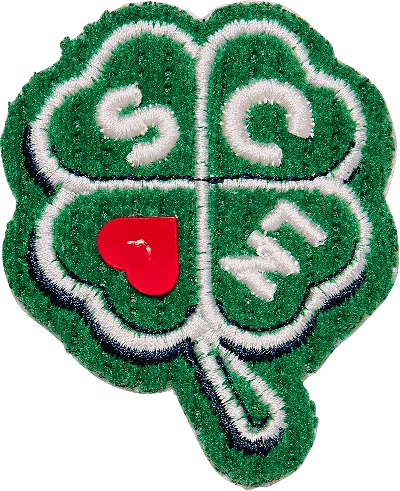 Stoney Clover Lane Four Leaf Clover Patch In Green