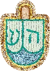 Stoney Clover Lane Glitter Varsity Dreidel Patch