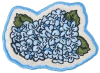 Stoney Clover Lane Hydrangeas Patch