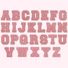 Stoney Clover Lane Mauve Varsity Nylon Letter Patch