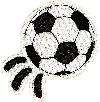 Stoney Clover Lane Soccer Ball Patch