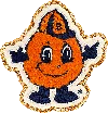 STONEY CLOVER LANE SYRACUSE UNIVERSITY PATCH