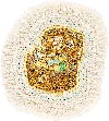 Stoney Clover Lane Treasure Crest Patch