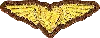 Stoney Clover Lane Wings Patch