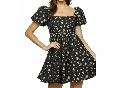 Storia Embroidered Rose Print Dress In Black