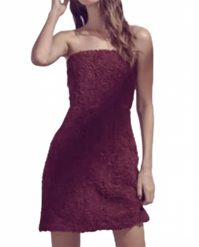 Storia Flowered Mini Dress In Wine In Burgundy