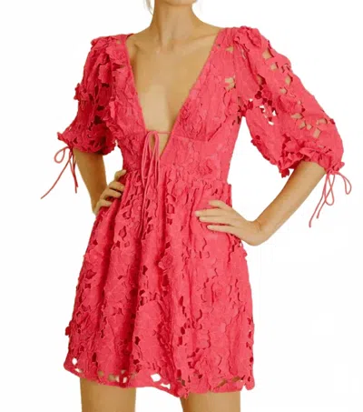 Storia Issa Eyelet Dress In Hot Pink