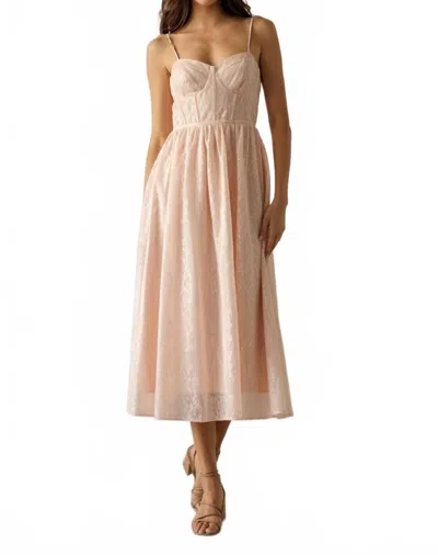 Storia Lace Midi Dress In Blush Pink In Beige