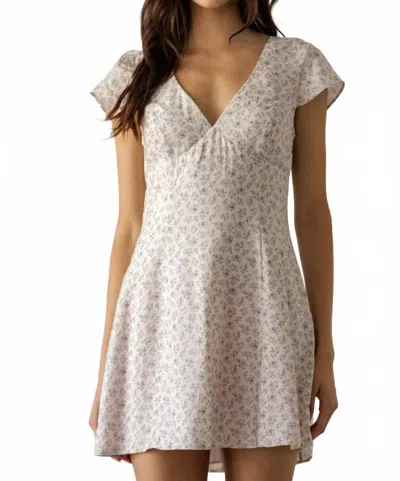 Storia Divina Dress In Ivory/ Pink Floral In Multi