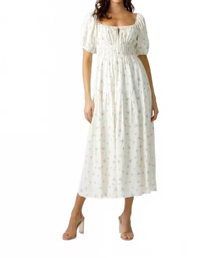 Storia Multi Floral Midi Dress In Cream In Silver