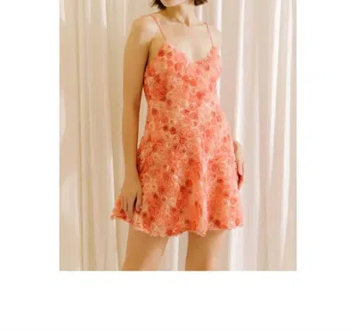 Storia Nellie 3d Floral Dress In Multi
