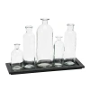 Storied Home Black Wood Tray With Glass Bottle Vases, Set Of 5 Sizes In Transparent