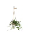 Storied Home Boho 2-tone Terracotta Hanging Planter On Jute Rope In White