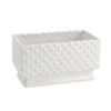 Storied Home Ceramic Hobnail Planter With Scalloped Edge And Polka Dots, White In White