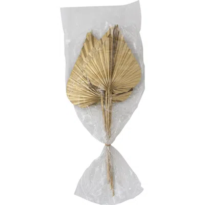 Storied Home Dried Natural Sun Cut Palm Bunch In Gray