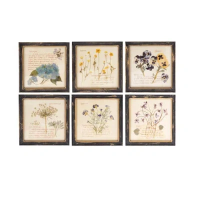 Storied Home Framed Wall Décor With Floral Images And Information In Multi