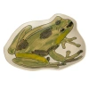Storied Home Garden Frog Stoneware Plate In Green