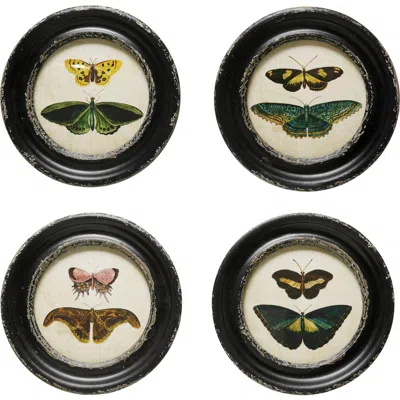 Storied Home Moth And Butterfly Framed Wall Decor In Black