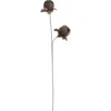 Storied Home Organic Feather Flower Stem Decor, Taupe In Brown
