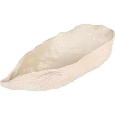 Storied Home Oyster Shell Shaped Dish In White