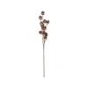 Storied Home Plastic Pinecone Stem, Ice Finish, Copper Finish In Brown