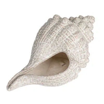 Storied Home Stoneware Conch Shell Accent Décor In White