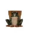 Storied Home Stoneware Frog Planter In Green