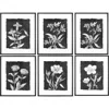 Storied Home Wall Décor Portrait With Frame In White