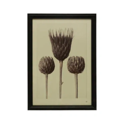 Storied Home Wood Framed Artichoke Print With Glass Cover In Multi