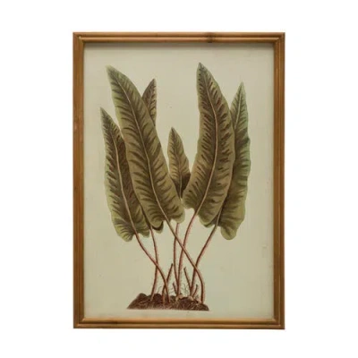 Storied Home Wood Framed Botanical Print With Glass Cover, Multicolor In Brown