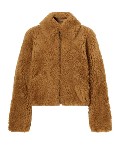 Stouls Sidi Shearling Jacket In Multi