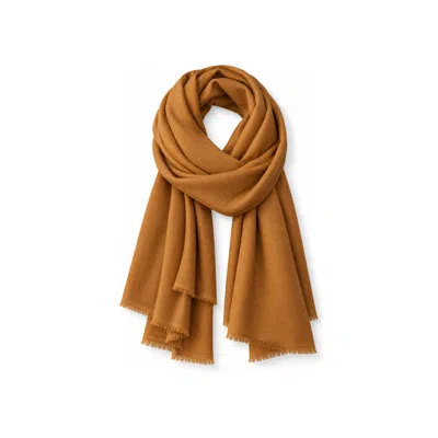 Stovaria Men's Burnt Orange Cashmere Scarf In Brown