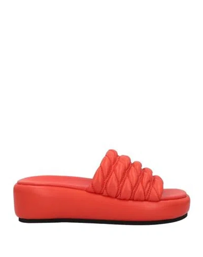 Strategia Woman Sandals Orange Size 6 Textile Fibers