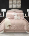 Stratford Park Johnella Paisley 14-pc. Comforter Set, King In Blush