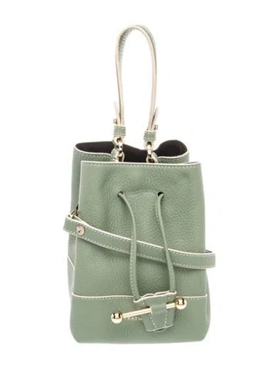 Pre-owned Strathberry Leather Bucket Bag In Green/grey