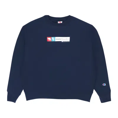 Stray Rats Forever & Ever Crewneck Navy Sweater In Multi