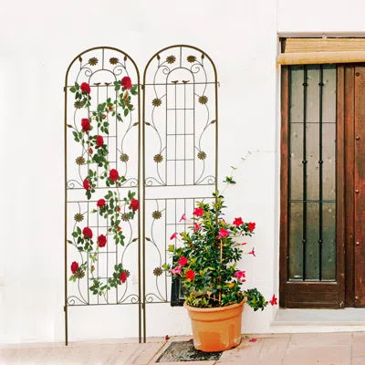 Streamdale Furniture Streamdale 2 Pack Metal Garden Trellis, 86.7" Climbing Plant Support