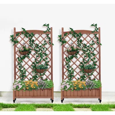 Streamdale Furniture Streamdale 2-pack Raised Garden Bed With Trellis & Climbing Racks