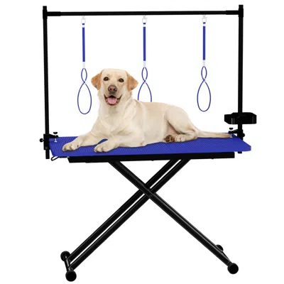 Streamdale Furniture Streamdale 47'' Blue X-lift Foldable Dog Grooming Table With Adjustable Arms & Organizer In Multi