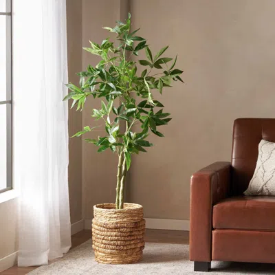 Streamdale Furniture Streamdale Artificial Money Tree - 63" Tall - Pre-potted