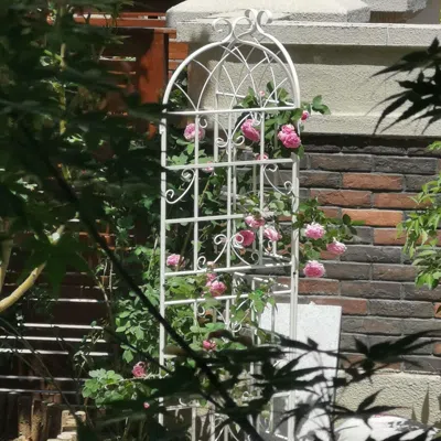 Streamdale Furniture Streamdale Assembled 4-pack Plant Trellises For Vine Plants And Climbing Flowers