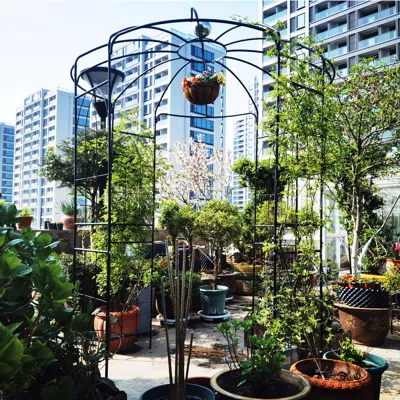 Streamdale Furniture Streamdale Birdcage Shaped Metal Garden Arch Gazebo